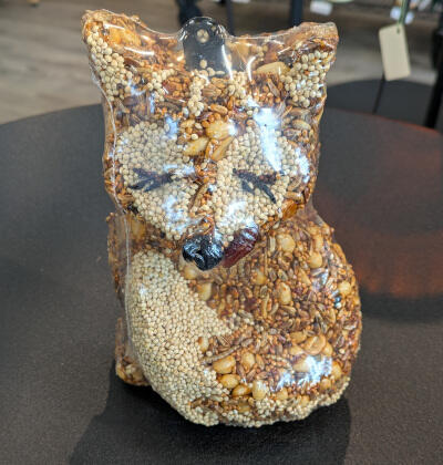 Hot Foxy!